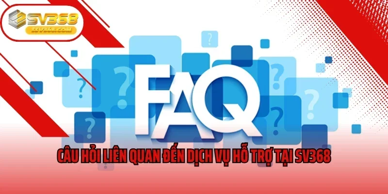 Câu hỏi liên quan đến dịch vụ hỗ trợ tại SV368