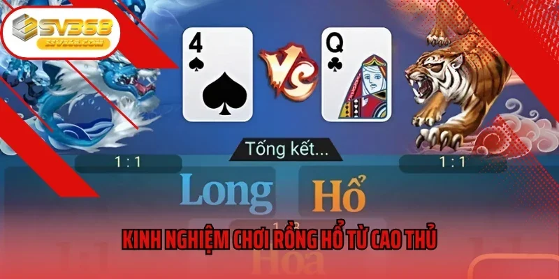 Kinh nghiệm chơi Rồng Hổ từ cao thủ