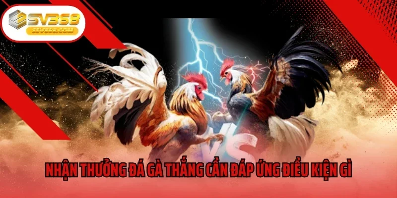 Nhận thưởng đá gà thắng liên tiếp cần đáp ứng điều kiện gì