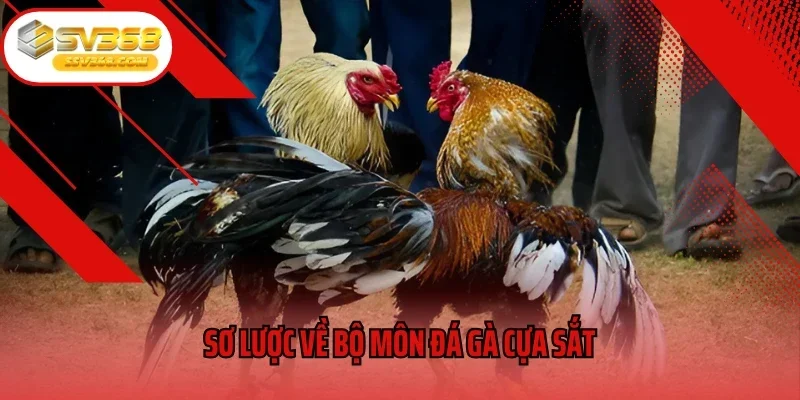 Sơ lược về bộ môn đá gà cựa sắt