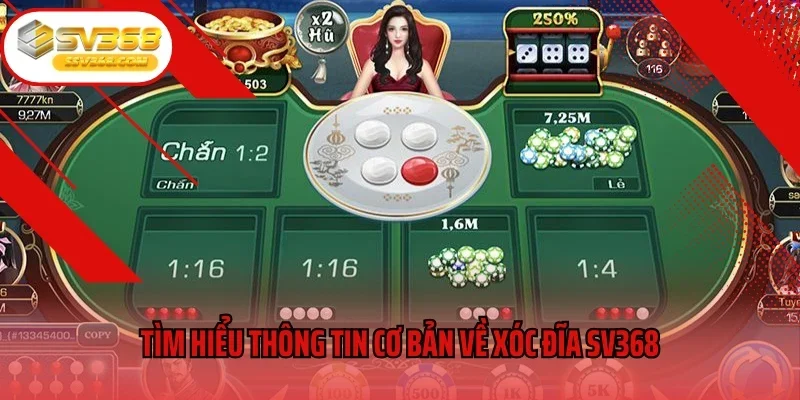 Tìm hiểu thông tin cơ bản về xóc đĩa SV368